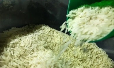 Conab suspende leilão de arroz importado