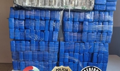 Operação conjunta entre forças policiais apreende mais de 130 kg de maconha em Chapecó