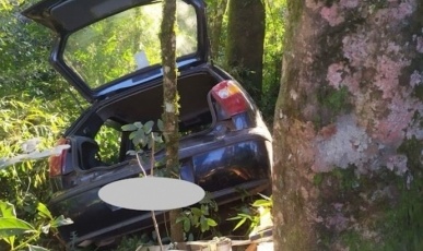 Veículo com placas de Joaçaba sai da pista e colide em árvore