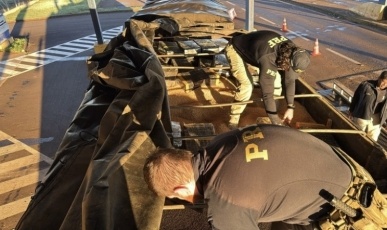 PRF apreende mais de 2 toneladas de maconha escondidas em carga de soja