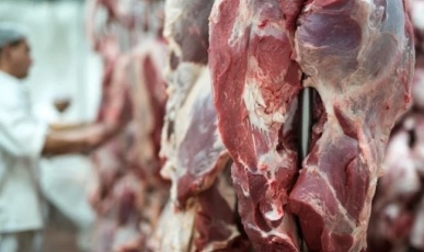 Carnes catarinenses chegam a mais de 150 países e registram resultado histórico