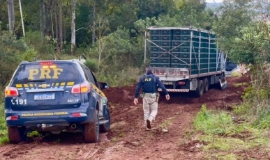 Caminhão atola e PRF apreende quase 1 tonelada de maconha em Passo Fundo