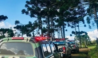 PM Ambiental apreende carne de caça e armas em operação na região