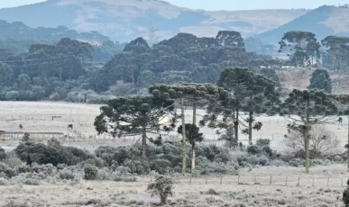 Frio intenso marca amanhecer no Meio-Oeste; cidades da região registram temperaturas negativas; veja ranking