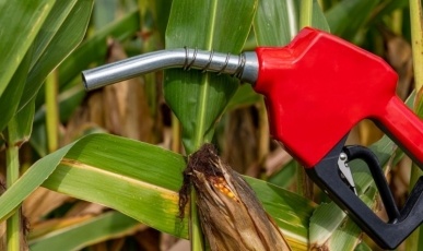 Governo eleva etanol na gasolina para 32%