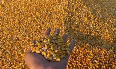 Agropecuária brasileira deve movimentar R$ 1,4 trilhão em 2026