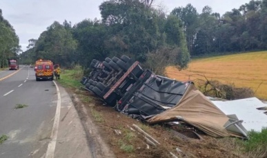 Motorista fica ferido após carreta carregada de MDF tombar na SC-350